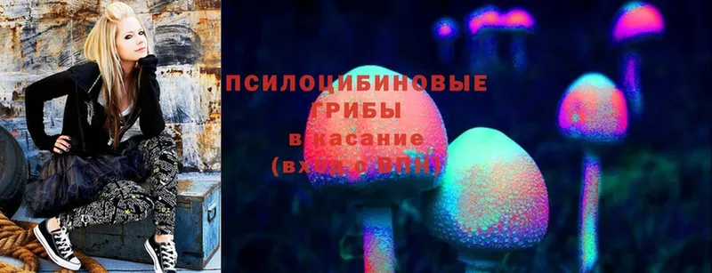 где найти   Покровск  Галлюциногенные грибы прущие грибы 